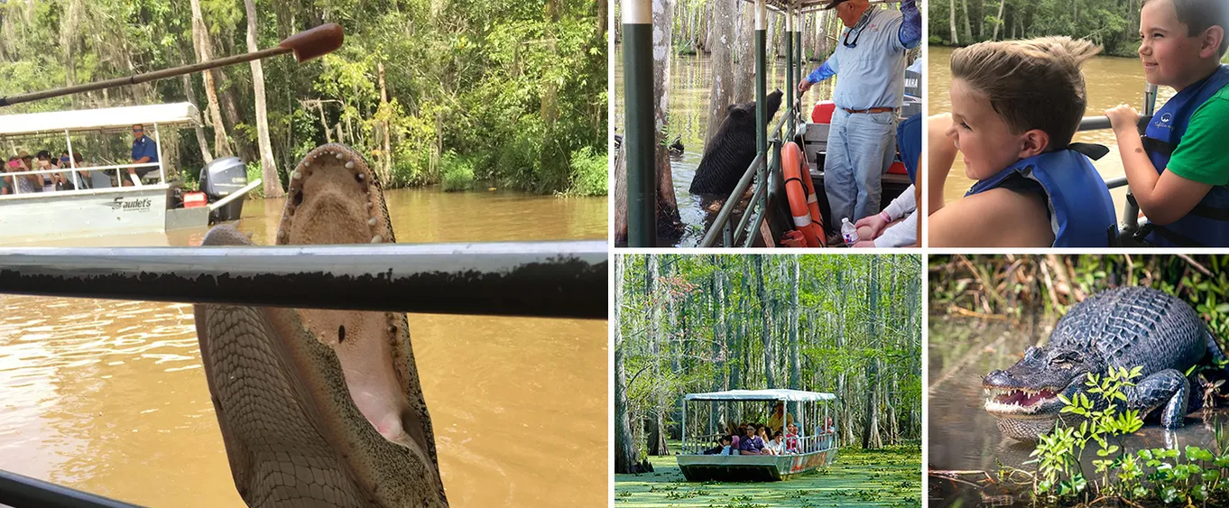 New Orleans Swamp and Bayou Boat Tour