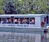 A group of people embark on a guided adventure aboard a Louisiana Swamp Tours boat through a lush swamp setting