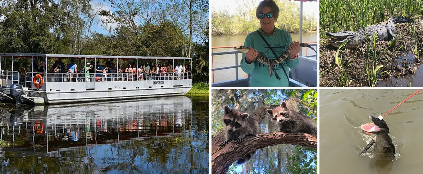 Guided Boat Tour of New Orleans Bayou and Wildlife