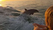 A dolphin is leaping out of the ocean waves near a boat at sunset while a person observes in the foreground.