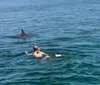 A person is swimming in clear blue water alongside a dolphin