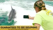 A person is photographing a dolphin leaping out of the water, with a promotional text overlay guaranteeing dolphin sightings on a cruise in Destin.