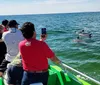 Passengers on a boat tour are watching and taking photos of dolphins swimming in the ocean