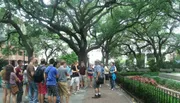 A group of people, possibly on a guided tour, are gathered in a park with lush green trees.