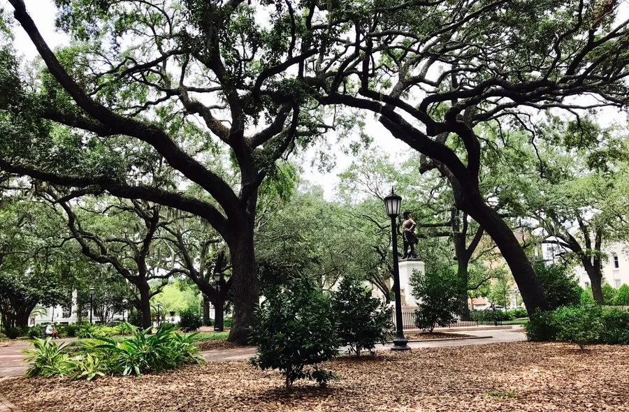 The image depicts a serene park with sprawling oak trees and Spanish moss, with a statue on a pedestal in the background and a walking path surrounded by lush greenery.