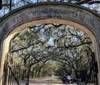 The image shows an ornate stone archway inscribed with 1733 WORMSLOE 1913 leading into a picturesque avenue lined with live oak trees draped with Spanish moss with a car driving through and another parked nearby