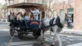 Evening Horse-Drawn Carriage Tour of Downtown Charleston Photo