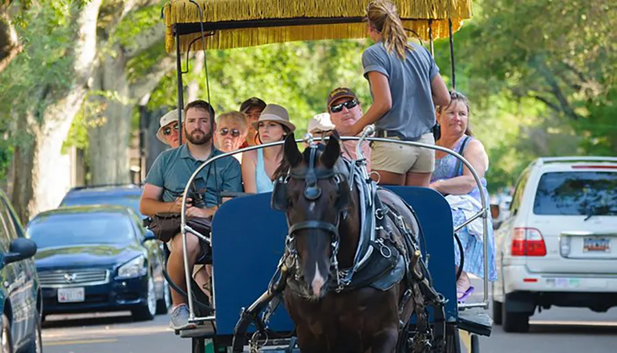 A group of tourists is taking a horse-drawn carriage tour along a tree-lined street.