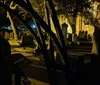 A group of people is standing in a cemetery at twilight possibly on a guided tour as one person gestures and appears to be telling a story or giving information