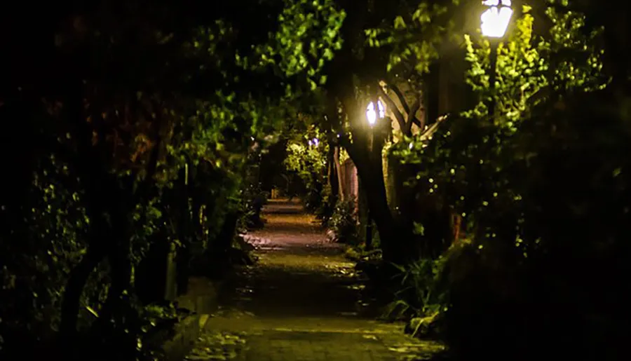 A dimly lit path winds through a verdant garden under the glow of old-fashioned street lamps at night.