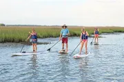Four people are paddleboarding through a calm waterway surrounded by tall grasses.