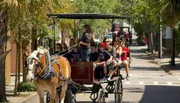 A horse-drawn carriage carries passengers down a sunny, tree-lined urban street.