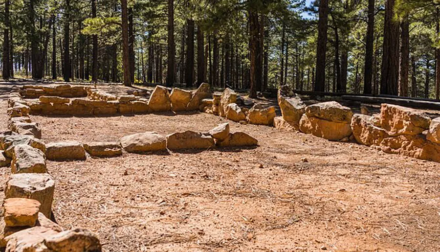 This image depicts a circular arrangement of large stones on the ground in a forested area, possibly the remains of an ancient structure.