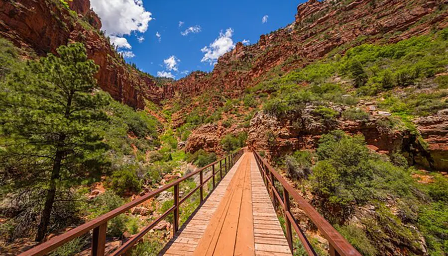A wooden footbridge spans across a red-rock canyon surrounded by lush greenery under a bright blue sky with scattered clouds.