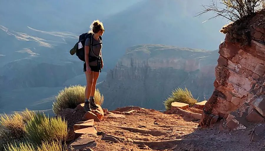 A hiker stands on the edge of a cliff, gazing out over a vast canyon bathed in the golden light of the sun.