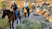 A group of people is enjoying a horseback ride along a trail in a natural bushy setting, led by a person wearing a cowboy hat.