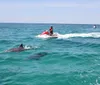 A person is riding a jet ski on the ocean closely accompanied by a dolphin while another jet ski is in the distance