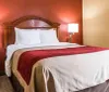 The image shows a neatly arranged hotel room with two beds white and tan bedding red throws and a framed palm tree picture on the wall