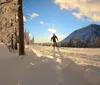 Three people are cross-country skiing among snowy trees with the sun low on the horizon creating long shadows and a flare effect in the photo