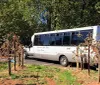 A tour bus is parked on a sunny day behind some young leafless trees