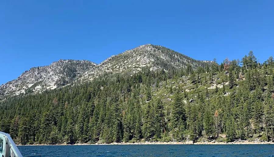 The image shows a dense pine forest leading up to the rocky peaks of a mountain range under a clear blue sky, with the perspective suggesting it was taken from a boat on the water.