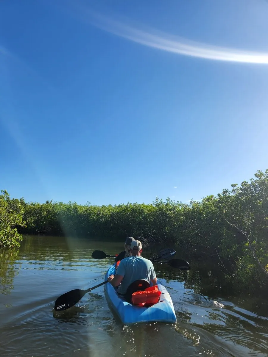 A person is kayaking through a calm waterway surrounded by greenery under a clear blue sky with sunlight creating a lens flare effect.