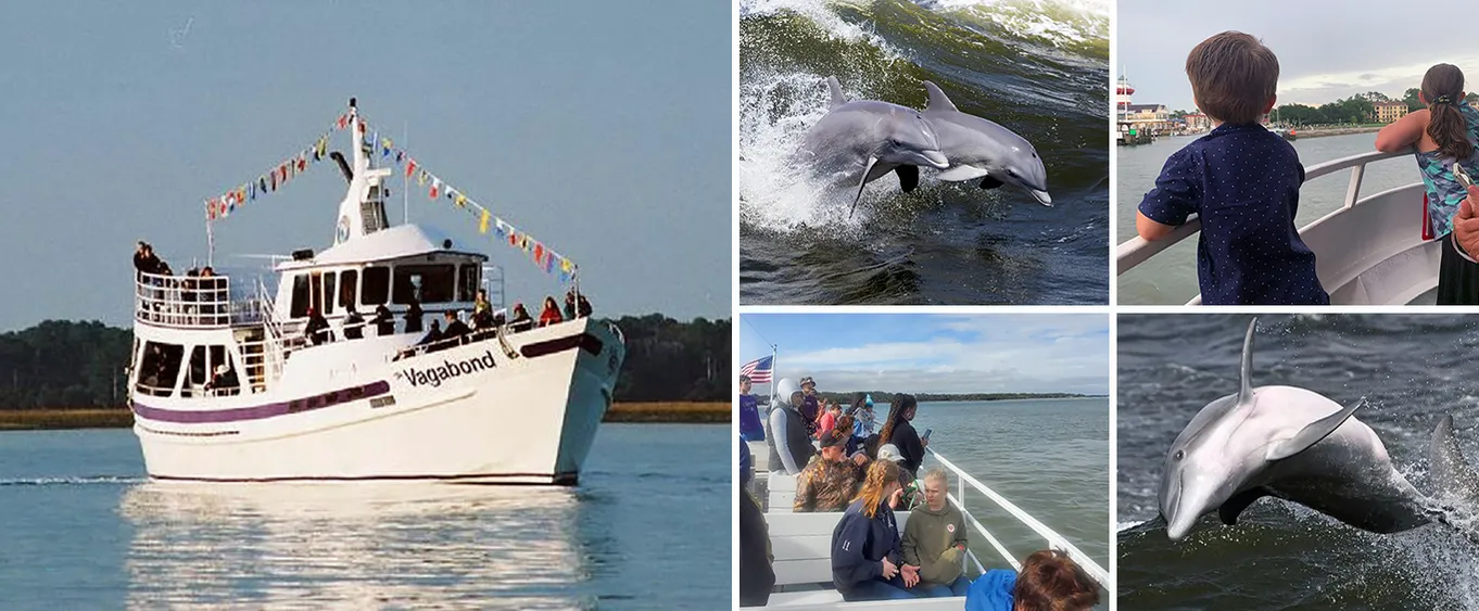 Hilton Head Island Dolphin Ocean Cruise