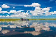 An airboat tours a tranquil, expansive wetland with clear reflections of the sky and clouds in the water, while an alligator swims in the foreground.