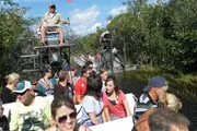 This image shows a group of tourists enjoying a ride on an airboat through a waterway surrounded by lush vegetation, likely in a swamp or wetland area.