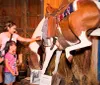 A woman and two children are interacting with a taxidermied horse inside a rustic barn-like setting