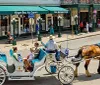 A horse-drawn carriage transports passengers along a bustling street lined with shops and pedestrians