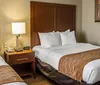 Room Photo for Comfort Suites Near SeaWorld San Antonio TX