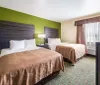 The image shows a hotel room with two queen-sized beds patterned carpet a green accent wall and simple furnishings