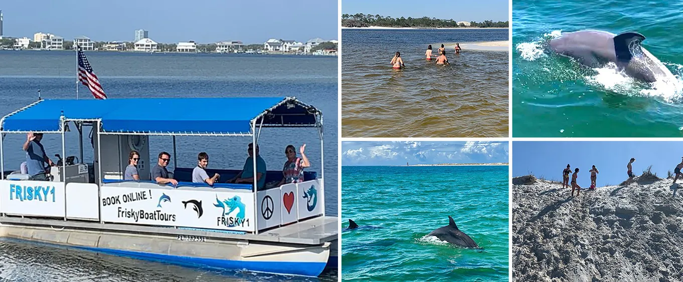 Dolphin & Scenic Bay Tour with a Secluded Beach Stop
