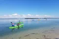 Guided Kayak Tour of Beautiful Shell Key Preserve Photo