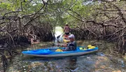 Two people are kayaking through a mangrove tunnel with intricate root systems overhead.
