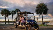 A family enjoys a scenic ride in a golf cart against a backdrop of palm trees and a sunset sky.