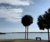 This image shows a serene waterfront view with two palm trees and a park bench under a partly cloudy sky