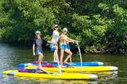 Three people stand on paddleboards near some mangroves, enjoying a sunny day on the water.