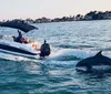 A dolphin is leaping out of the water near a moving boat with several passengers