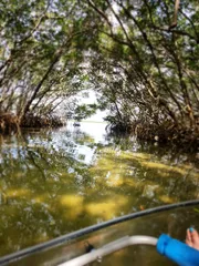 The image shows a waterway framed by an arch of mangrove trees, with the perspective taken from a boat, implied by a part of the boat and a person's foot entering the frame.