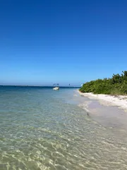 The image shows a serene beach scene with clear turquoise waters, a stretch of white sand, green vegetation to the side, and a solitary boat floating near the shore under a vast blue sky.