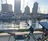A bicycle is parked overlooking a marina filled with boats against a backdrop of city buildings bathed in the soft light of early evening