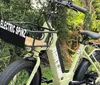 The image shows a modern electric bike with fat tires parked in a lush green area