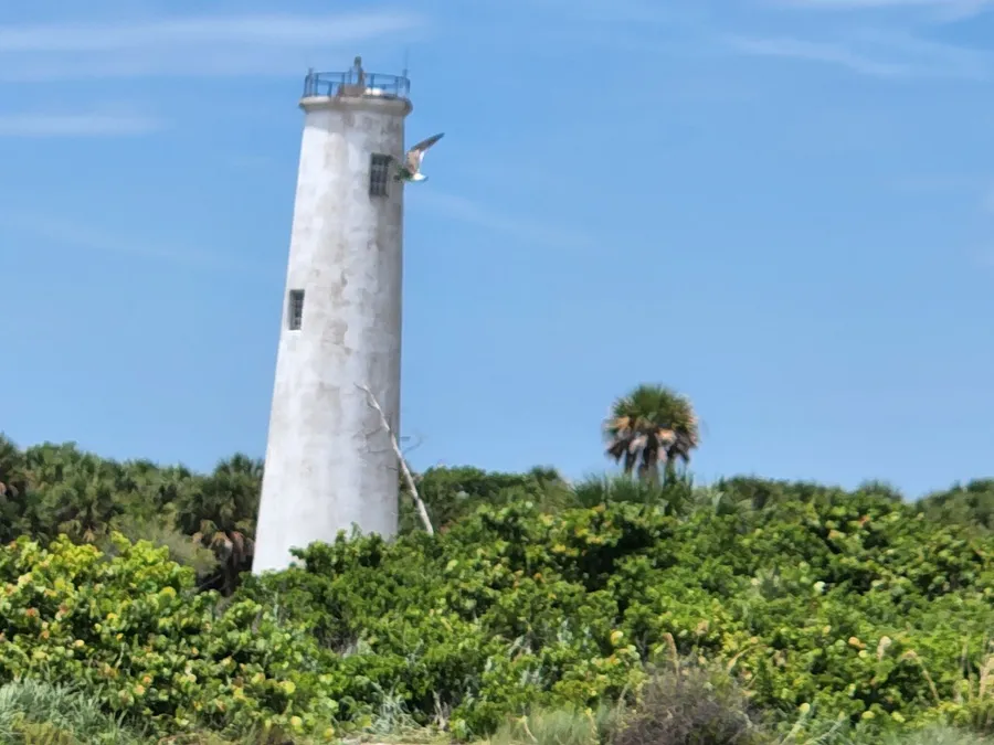 A weathered lighthouse stands amid lush green foliage under a blue sky.