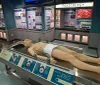 Visitors are interacting with an educational exhibit that features a life-sized mockup of a human body for an autopsy simulation