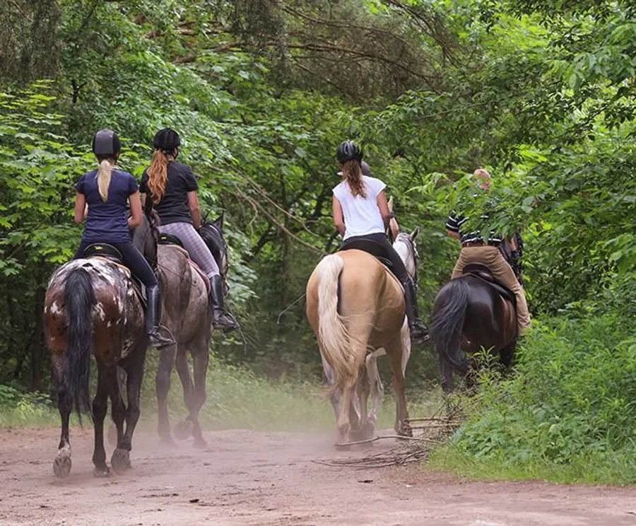 A group of riders wearing helmets is seen from behind as they enjoy a leisurely horseback ride along a tree-lined dirt trail.