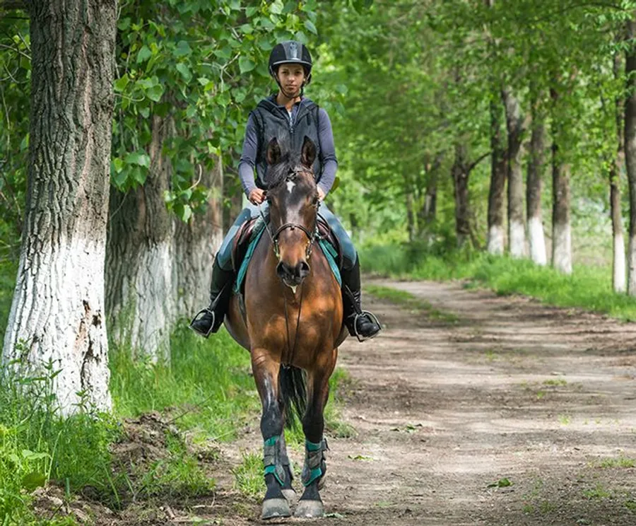 A person is riding a horse on a dirt path through a green, tree-lined area.