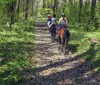 A group of riders wearing helmets is seen from behind as they enjoy a leisurely horseback ride along a tree-lined dirt trail