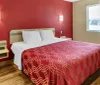 The image shows a neatly made bed with a red patterned bedspread in a room with a bold red wall on one side and a window looking out to a parking lot